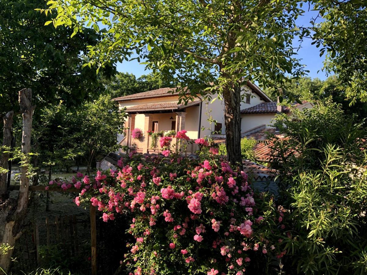 Arcadia Villa Spello Luaran gambar